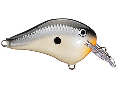 Rapala DT Fat