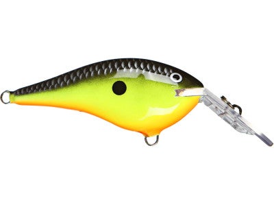 Rapala DT Thug