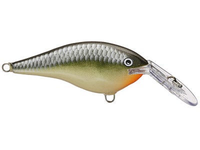 Rapala DT Thug