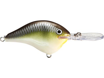 Rapala Ike's Custom Ink DT Series Crankbaits