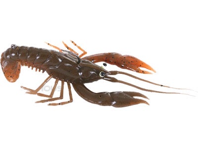 River2Sea Stand'n Yabbie