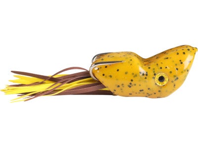 Scum Frog Popper