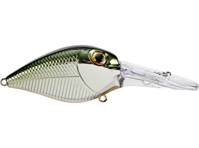 Storm Deep Rattlin Flat Wart