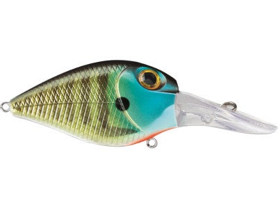 Storm Deep Rattlin Flat Wart