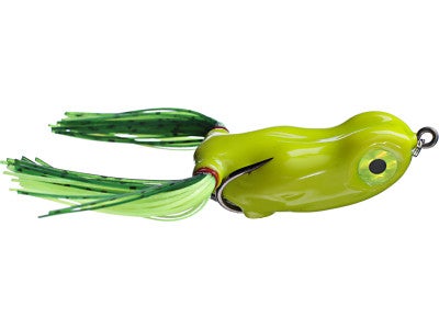 Scum Frog Small Dog