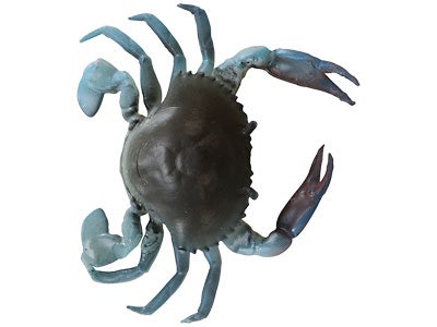 Savage Gear TPE 3D Crab