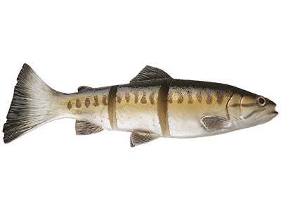 Savage Gear Line Thru 3D Swimbait 8