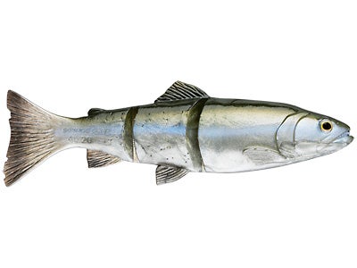 Savage Gear Line Thru 3D Swimbait 8