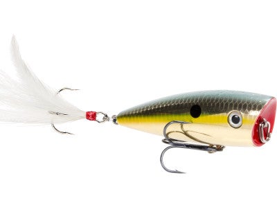 Strike King HC KVD Splash Popper