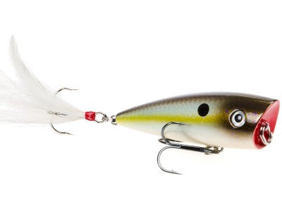 Strike King HC KVD Splash Popper