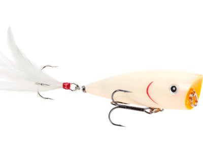 Strike King HC KVD Splash Popper