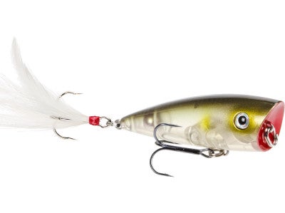 Strike King HC KVD Splash Popper