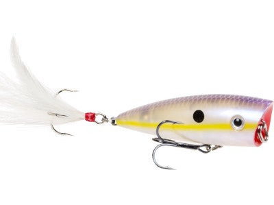 Strike King HC KVD Splash Popper