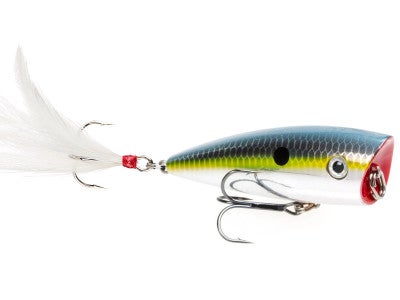 Strike King HC KVD Splash Popper