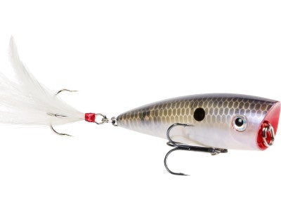 Strike King HC KVD Splash Popper
