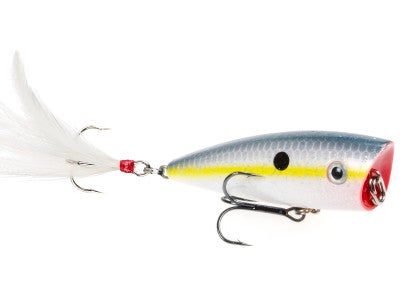 Strike King HC KVD Splash Popper