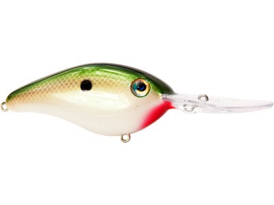 Strike King Pro Model 6XD Silent Crankbaits