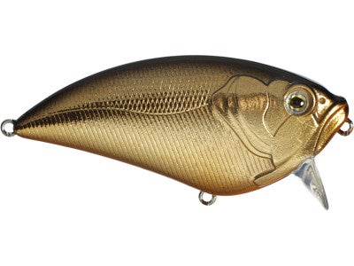 Evolve Soul 5 FlatSlider 75