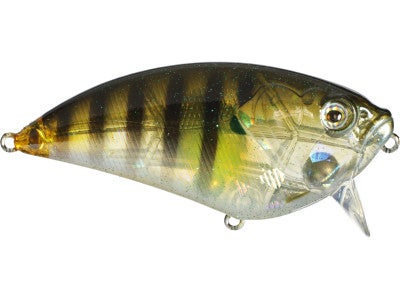 Evolve Soul 5 FlatSlider 75