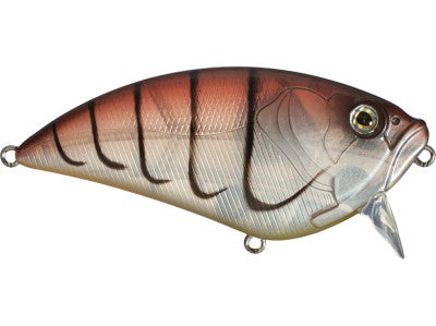 Evolve Soul 5 FlatSlider 75