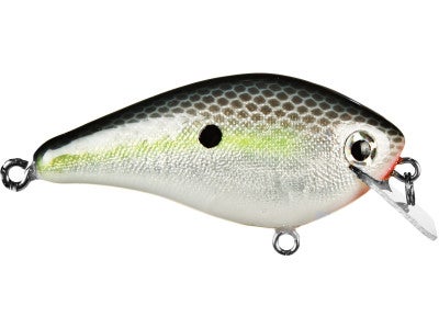 Stanford Lures Patriot Shad Crankbait