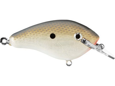 Stanford Lures Razor Shad Crankbait Shallow Diving