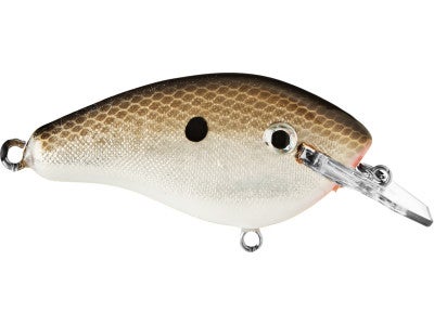 Stanford Lures Razor Shad Crankbait Shallow Diving