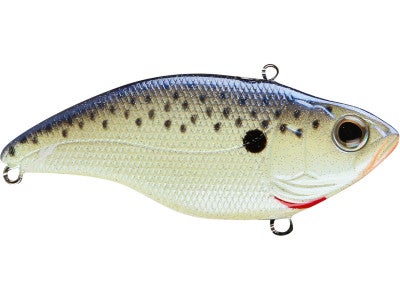 Spro Aruku Shad