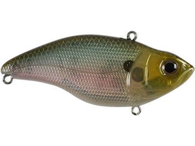 Spro Aruku Shad Jr.
