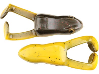 Stanley Top Toad