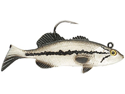 Storm Wildeye Live Baby Bass