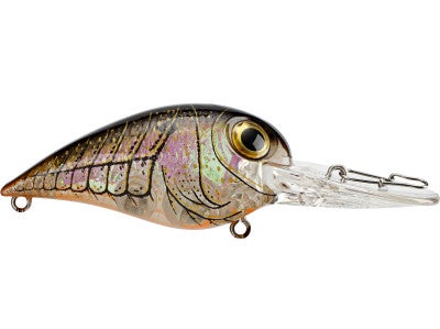 Storm Wiggle Wart Madflash