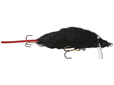 Bettencourt Rodent Swimming Rat