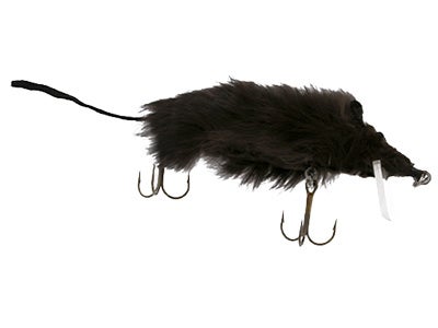 Bettencourt Rodent Swimming Rat
