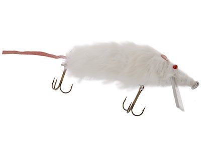 Bettencourt Rodent Swimming Rat