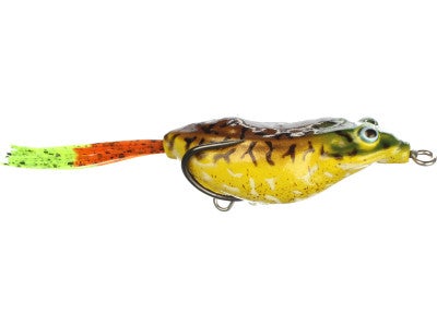 Vagabond Bush Z Hollow Bodied Frog