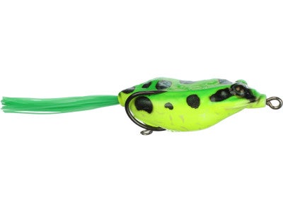 Vagabond Bush Z Hollow Bodied Frog