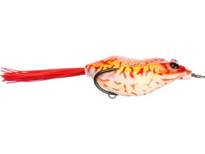 Vagabond Bush Z Hollow Bodied Frog