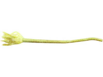 Yum F2 Shakalicious Worm 8pk