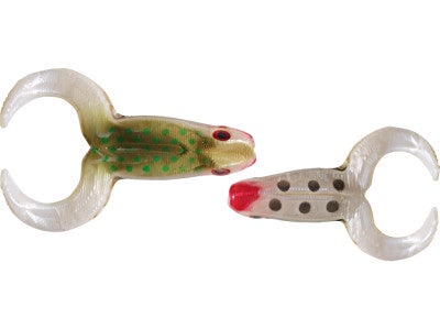 Yum Money Frog
