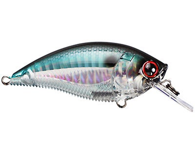 Yo-Zuri 3DB Series Squarebill