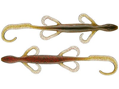 Zoom Lizards