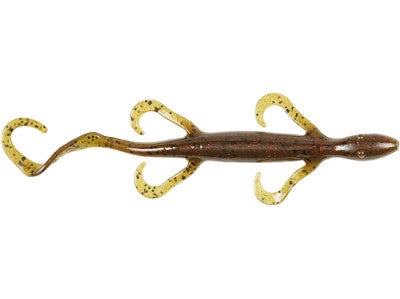 Zoom Lizards