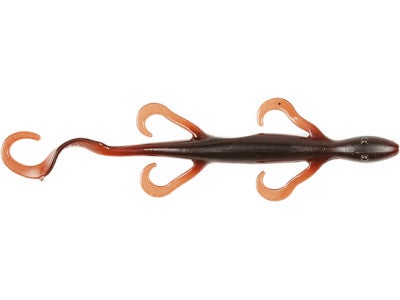 Zoom Lizards