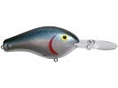 Bandit Lures