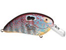 Bandit Lures