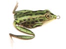 Lunkerhunt
