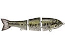Moreau Baits