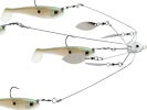 Spindarella