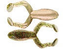 Warrior Baits